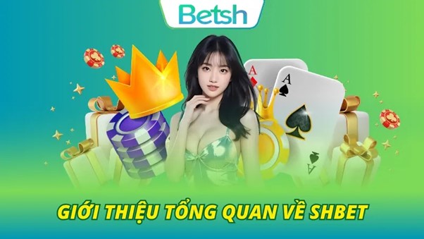 Thông tin cơ bản về nhà cái đầy tiềm năng SHBET